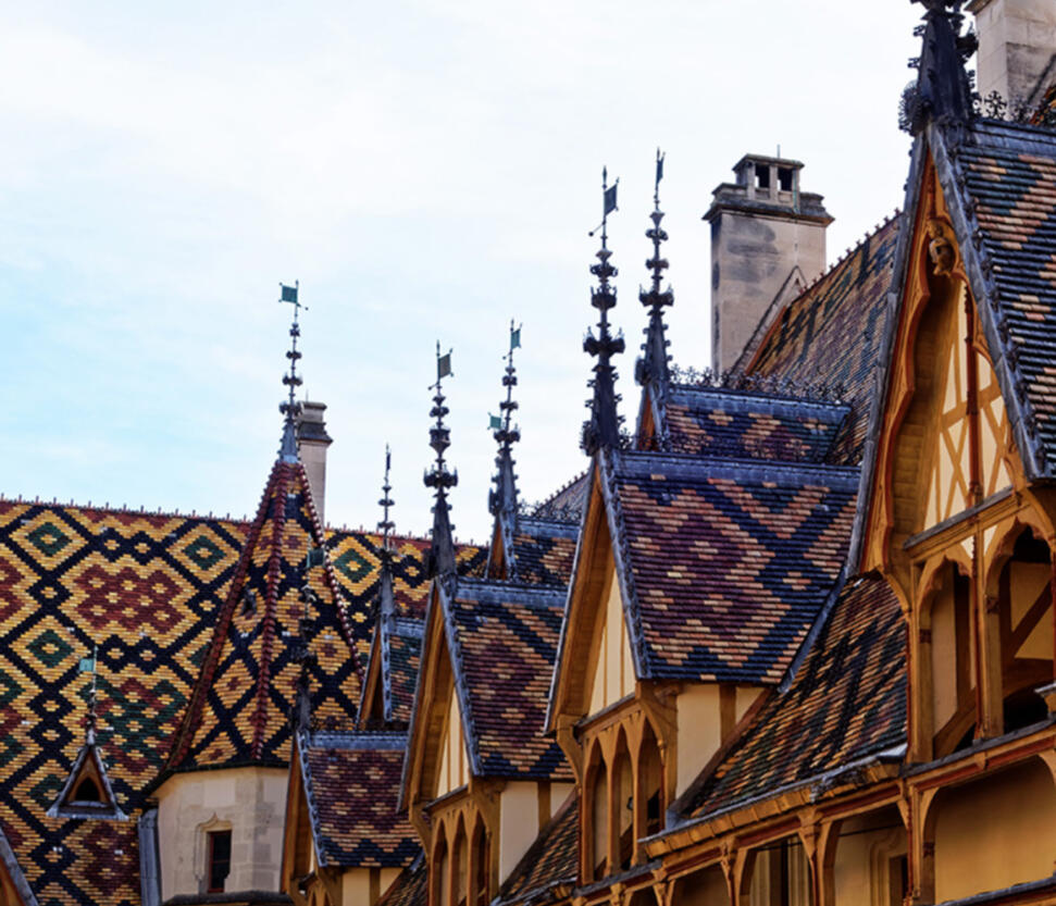 Varius leo fermentum