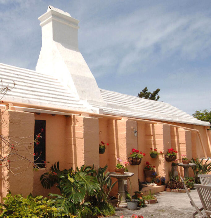 Viverra orci dapibus