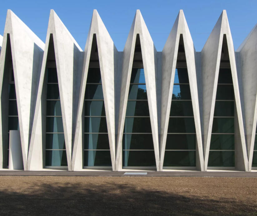 Efficitur faucibus vitae